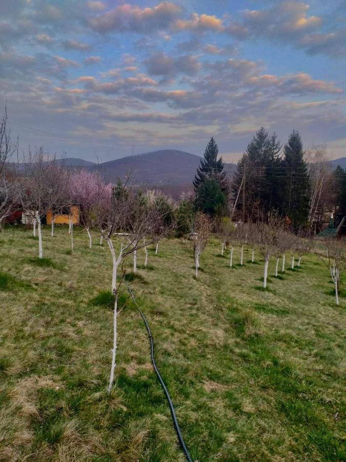 Vikendica-Sopocani Raška Exteriér fotografie